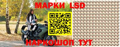 шишки Дмитров