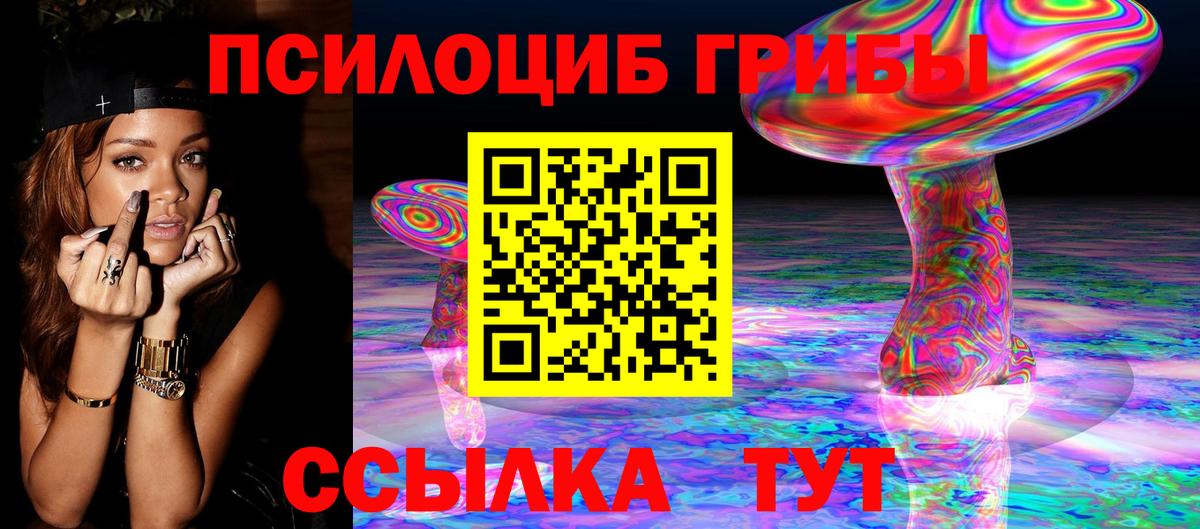 Дмитров  Псилоцибиновые грибы Cubensis  даркнет сайт  Псилоцибиновые грибы Psilocybine cubensis  Вход с VPN 